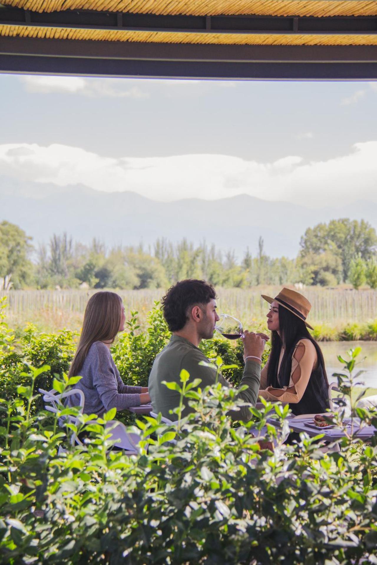 Postales Boutique Winery Hotel - Valle De Uco Colonia Las Rosas Exteriör bild