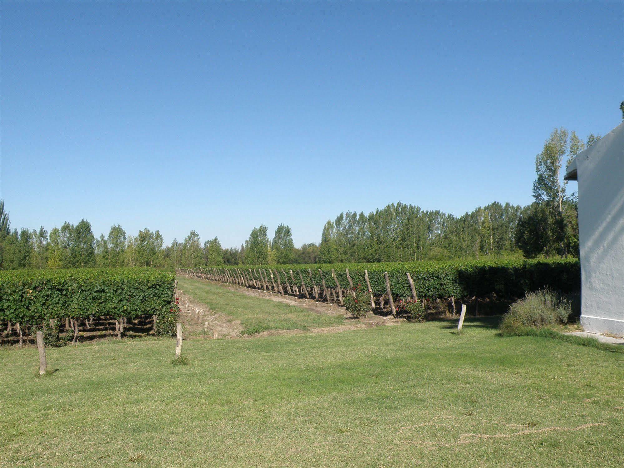 Postales Boutique Winery Hotel - Valle De Uco Colonia Las Rosas Exteriör bild