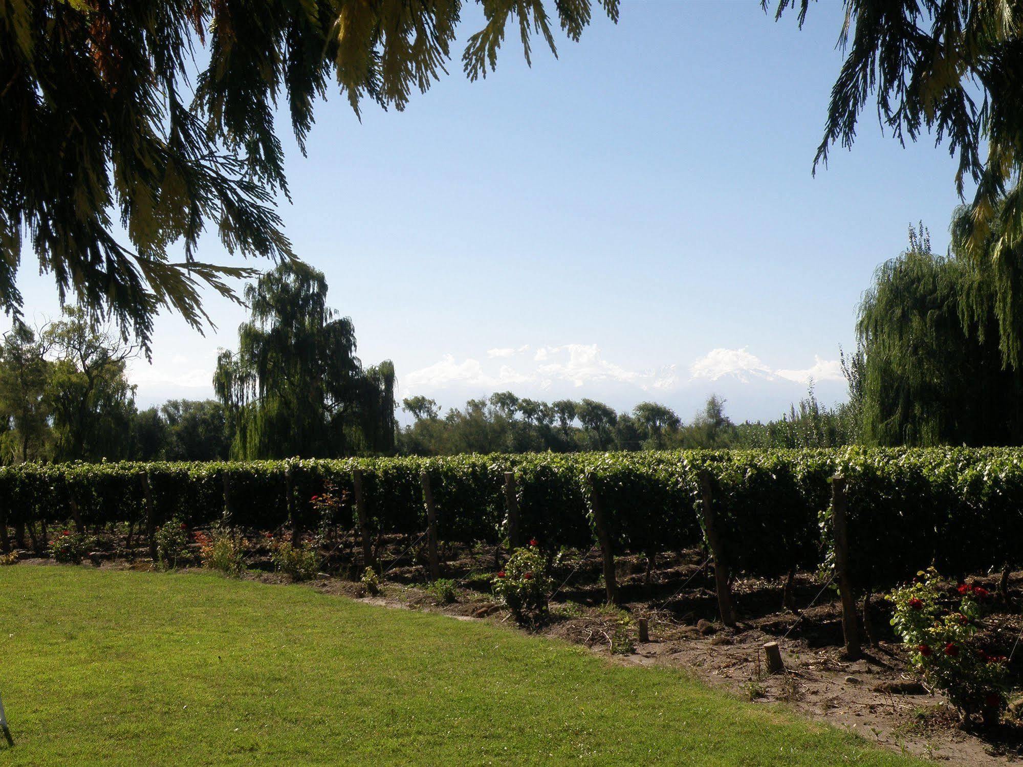 Postales Boutique Winery Hotel - Valle De Uco Colonia Las Rosas Exteriör bild